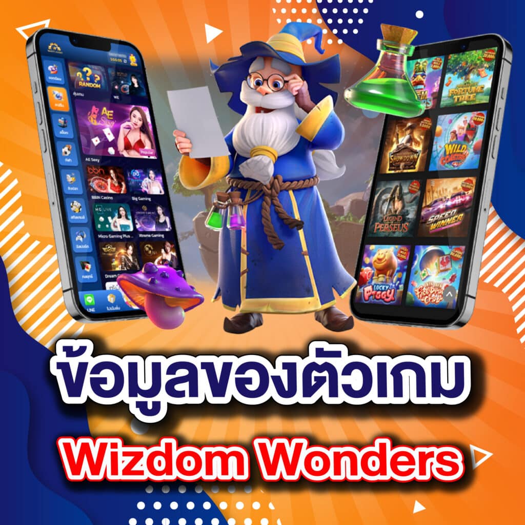 ข้อมูลของตัวเกม Wizdom Wonders